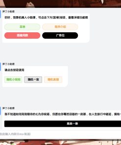 笋丁网页自动回复机器人V3.0.0免授权版源码