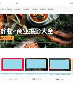 文章付费阅读系统-发货100在线视频课程教育系统