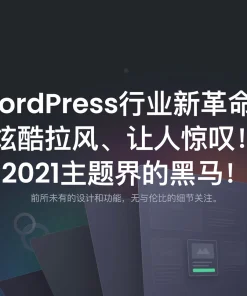热门wordpress主题Essentials汉化绿色版[更至v2.0.0]