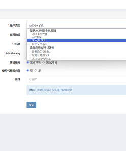 彩虹聚合DNS管理系统源码V2.0.1，SSL证书自动申请与部署