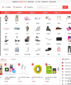 仿《百强网》源码 电商品牌特价大全网模板 带手机站 带会员系统