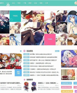 DiscuzX二次元动漫C风格主题