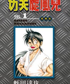 【功夫旋风儿】漫画（完结） 百度网盘下载