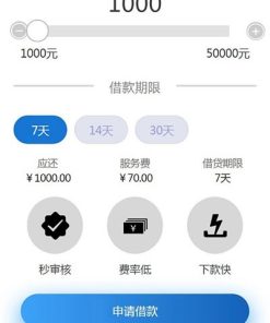 2021新款小额现金贷网络贷款系统源码 可打包成APP
