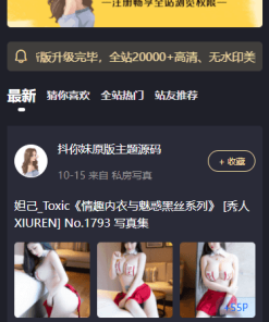 最新抖你妹原版主题源码仿抖音模式套图SEO源码_Wordpress图片主题