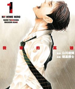 【我家的英雄】漫画（完结） 百度网盘下载