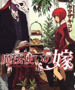 【魔法使的新娘】漫画（完结） 百度网盘下载