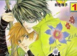 【银色钻石】漫画（完结） 百度网盘下载