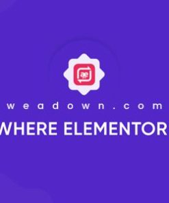 anywhere elementor pro 任何地方 Elementor Pro
