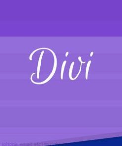 divi booster wordpress plugin Divi Booster WordPress 插件