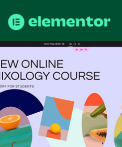 elementor pro page builder plugin Elementor Pro 页面构建器插件