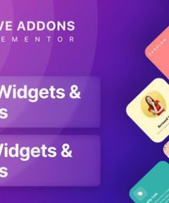 exclusive addons elementor pro 独家插件 Elementor Pro