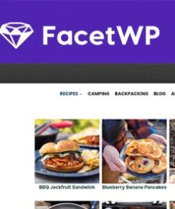 facetwp wordpres plugin Facetwp WordPres 插件