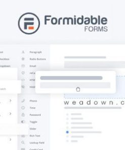 formidable forms pro builder wp plugin 强大的 Forms Pro Builder WP 插件