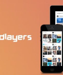 instagram feed gallery social wp Instagram 提要库社交 WP