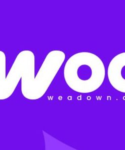 woocommerce lightspeed pos integration WooCommerce Lightspeed POS 集成