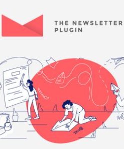 newsletter wordpress plugin 时事通讯 WordPress 插件