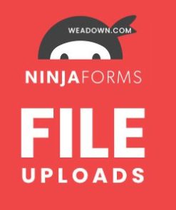 ninja forms file uploads Ninja Forms 文件上传