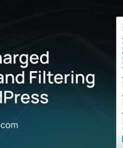 search filter pro 搜索过滤器专业版