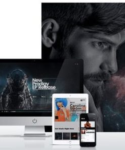 Sonaar 音乐 WordPress 主题sonaar music wordpress theme