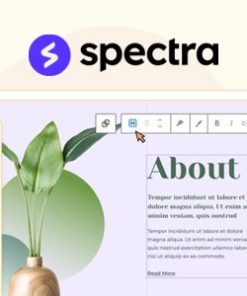 spectra pro wordpress page builder Spectra Pro WordPress 页面构建器