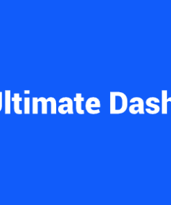 ultimate dashboard pro 终极仪表板专业版
