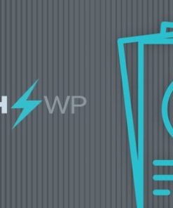 wp client reports pro WP 客户端报告专业版