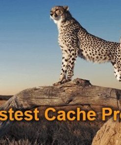 wp fastest cache premium nulled WP 最快缓存高级版为零