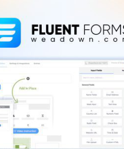 free wp fluent forms pro add on nulled 免费的 WP Fluent Forms Pro 附加组件 nulled