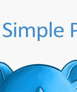 wp simple pay pro WP 简单支付专业版