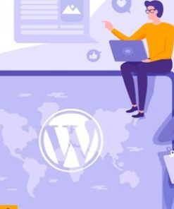 wp speed of light 3 3 4 wordpress speed optimization plugin WP 光速 3 3 4 WordPress 速度优化插件