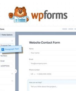 wpforms pro form 2025 WPFORMS 专业表格 2025