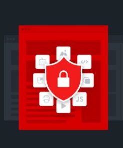 wpshield content protector pro WPSHIELD 内容保护器专业版