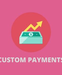 woocommerce custom payment gateway pro WooCommerce 自定义支付网关专业版