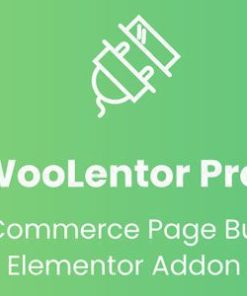 woolementor pro connecting elementor Woolementor Pro 连接 Elementor