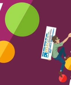yoast seo premium plugin Yoast SEO 高级插件