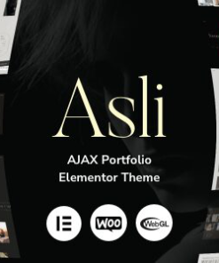 ASLI WordPress 主题asli wordpress theme