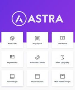 astra pro wordpress plugin Astra Pro WordPress 插件