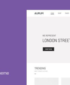 Aurum WordPress WooCommerce 购物主题aurum wordpress woocommerce shopping theme