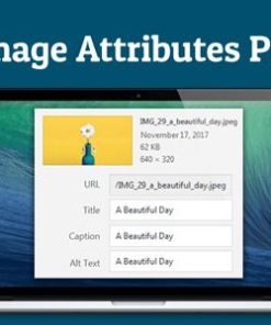auto image attributes pro 自动图像属性专业版