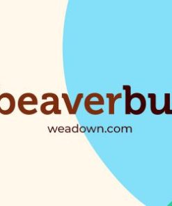 beaver builder pro wordpress plugin Beaver Builder Pro WordPress 插件
