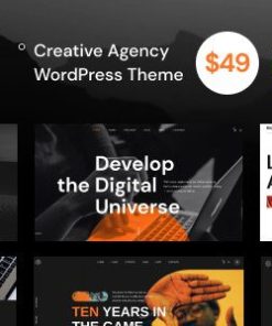 Bili WordPress 主题bili wordpress theme
