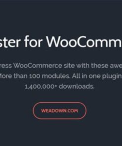 booster plus for woocommerce WooCommerce 的 Booster Plus