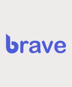 brave wordpress plugin 勇敢的 WordPress 插件