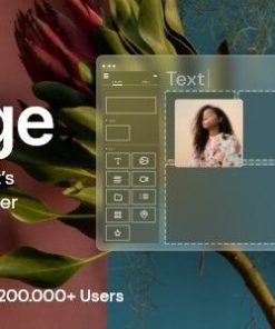 桥 WordPress 主题bridge wordpress theme
