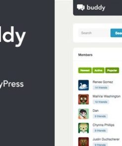 好友好友主题buddy buddypress theme