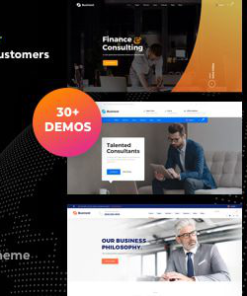 BusiNext WordPress 主题businext wordpress theme