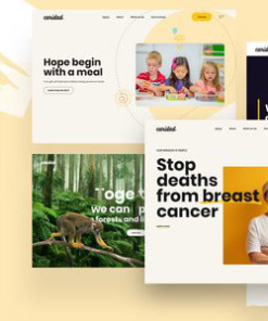 Caridad 慈善 WordPress 主题caridad charity wordpress theme