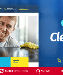 Cleanora WordPress 主题cleanora wordpress theme