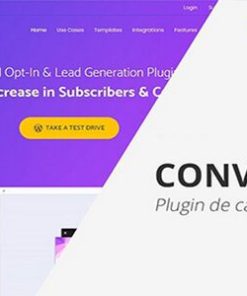 convert pro wordpress plugin 转换专业版 WordPress 插件